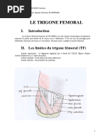 Anatomie du Triangle de Scarpa | PDF | Jambe humaine | Anatomie