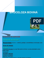 LP Bruceloza