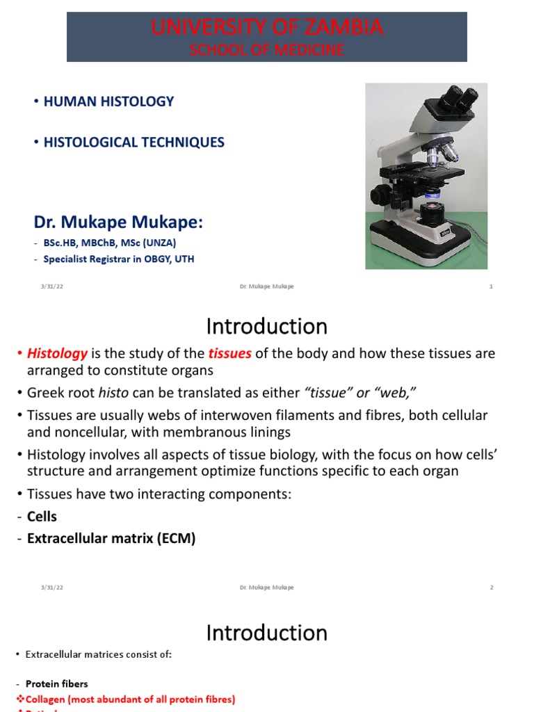 Histological Techniques PDF Fixation (Histology) Staining