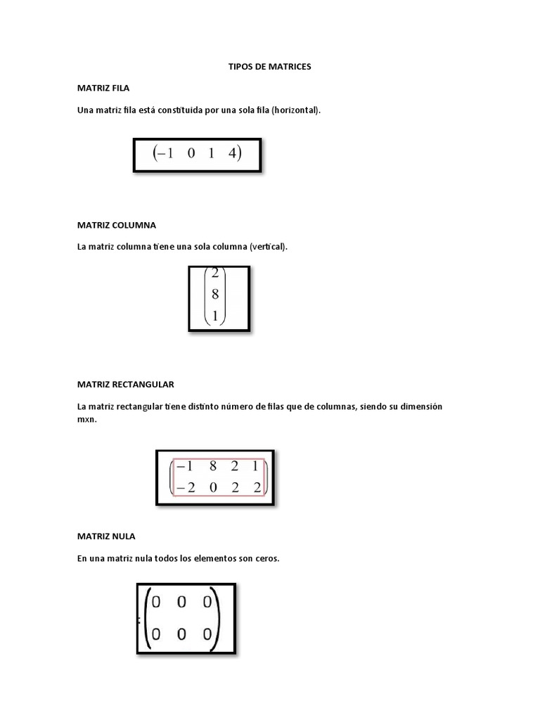 Tipos de Matrices y Ejemplos | PDF | Matriz (Matemáticas) | Funciones y ...