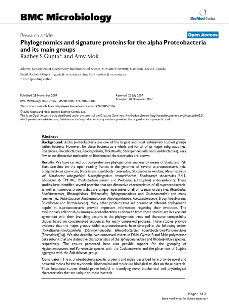 AurantimonadaceaePhylogenomics and Signature Proteins For The Alpha