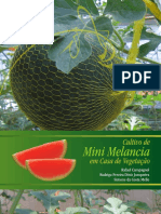 Cultivo de mini melancia em casa de vegetação