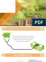 Presentación Capitulo 3 Razones Financieras