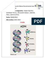 Proyecto Del ADN