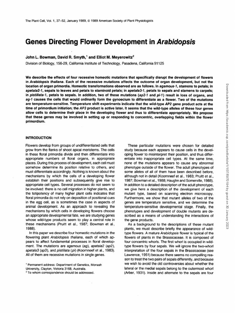 Plcell v1 1 37 pdf flowers arabidopsis thaliana