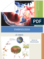 Embriologia: Desenvolvimento Embrionário