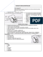 Bloqueo Auriculoventricular