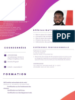 Rouge Résumé Ingénieur Logiciel CV