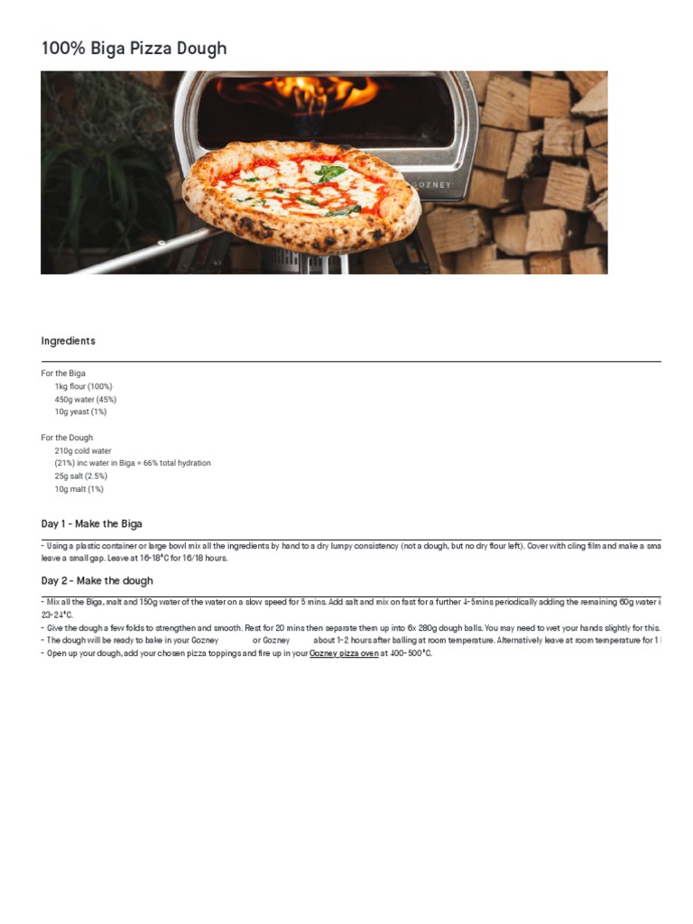 100 Biga Pizza Dough Recipe Gozney PDF