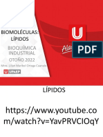 Tema 1 - Química de Las Biomóleculas - Lípidos
