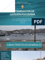 Contaminacion de Playa Pucusana - Suarez Cordova, Ruth Claudia