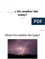 The Weather
