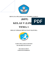 Cover RPP