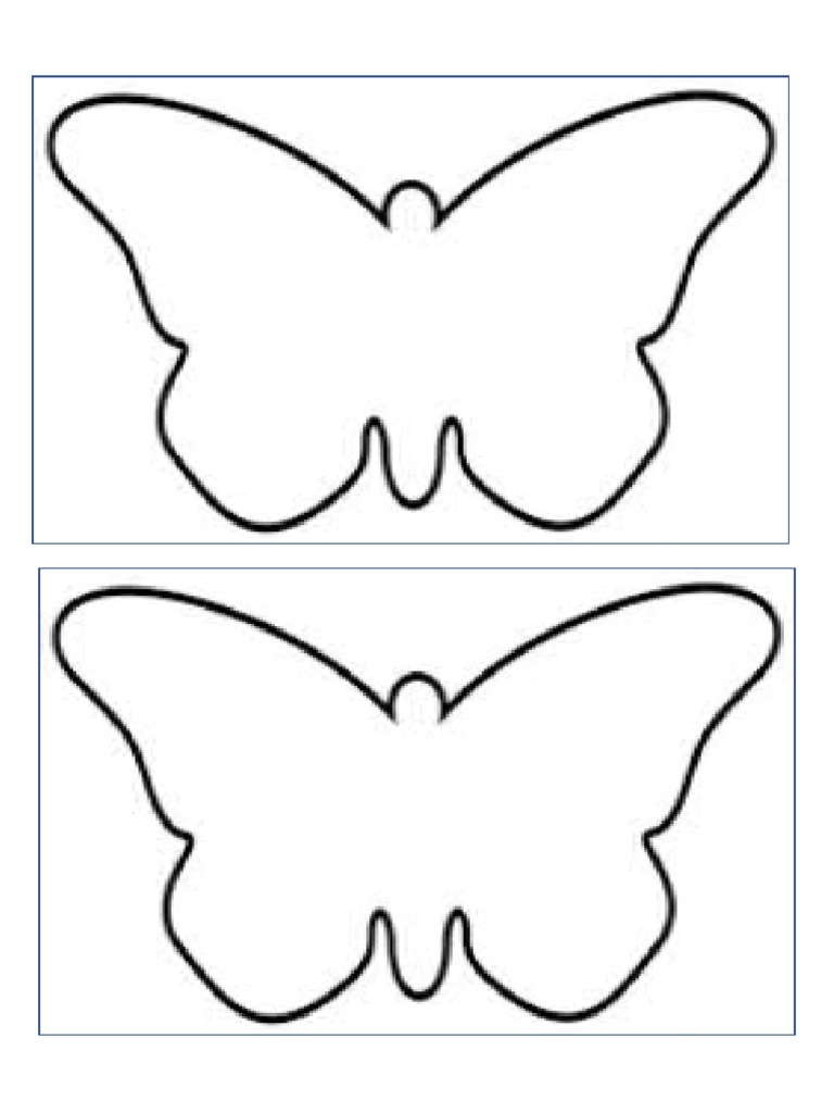 Buterfly Template | PDF