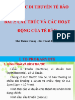 BÀI 2. Cấu Trúc Và Các Hoạt Động Của TB