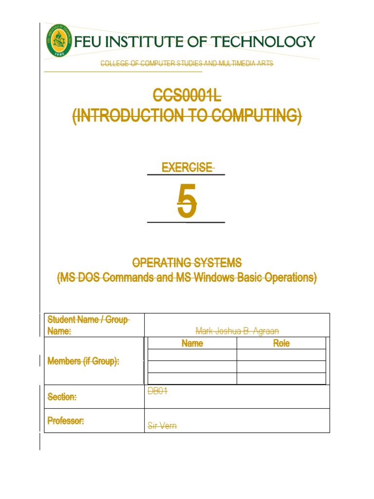 MS DOS Commands in Windows Lab Exercise | PDF | Computers | Technology ...