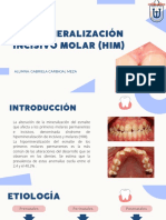 HIPOMINERALIZACIÓN INCISIVO MOLAR (Him) - 2