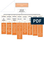 Derechos Del Buen Vivir Organizador Grafico