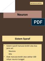 Neuron