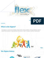 1 . - FLXMGBESXSINT - Introduccion SixSigma