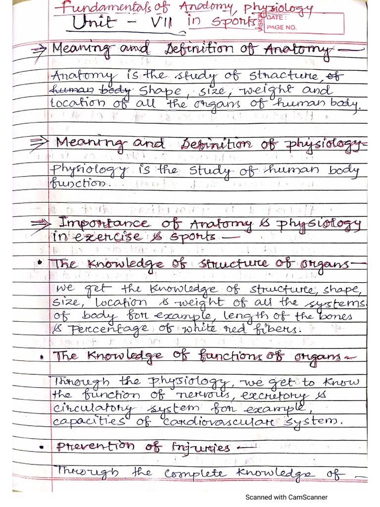 Unit - 7 - Fundamentals of Anatomy Physiology in Sports | PDF