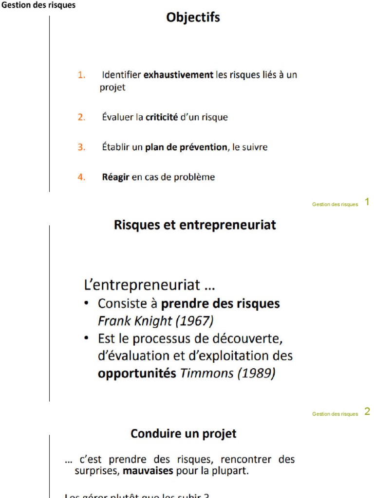 Gestion des risques : Guide complet | PDF | Affaires