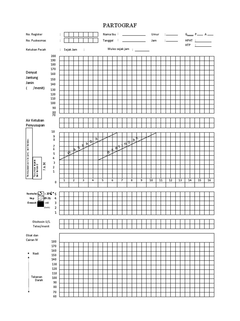 Patograf Fixs | PDF