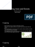Conserving Trees and Forests