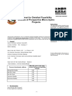 Format for Detailed Feasibility Studies