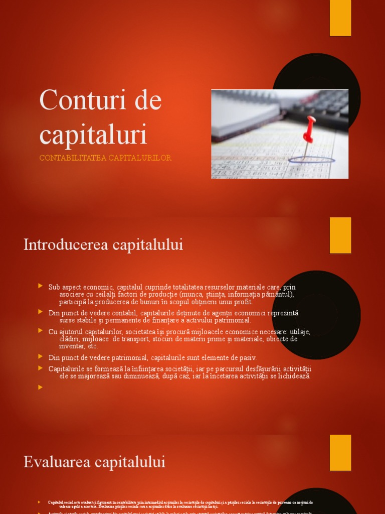 Conturi de Capitaluri | PDF
