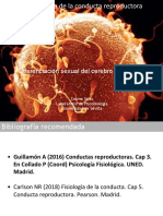 Psicobiologia de La Conducta Reproductora 1 Dimorfismo Sexual