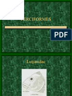 PERCIFORMES1