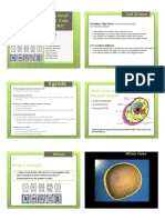 Lesson 7 Cell Division