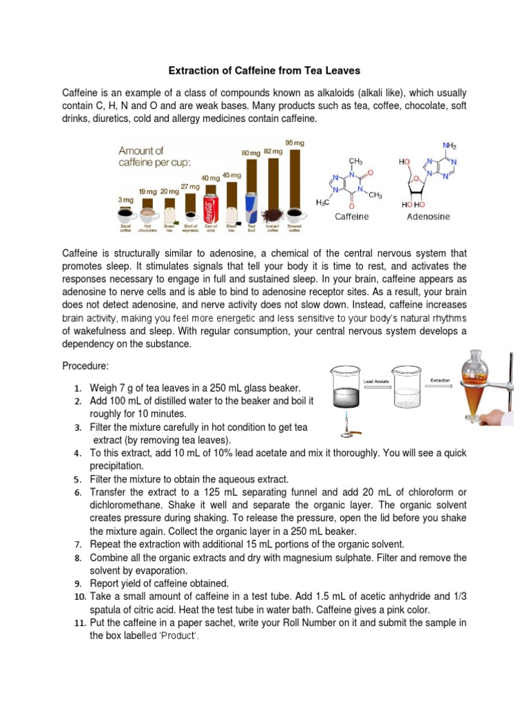 Caffeine PDF