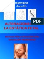 Alt Estatica Fetal