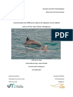 Caractérisation des différentes espèces de dauphins et leur habitat autour de l’île Sainte-Marie, Madagascar