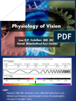 2 Physiology of Vision