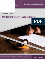 U1_Derecho_de_Amparo_I