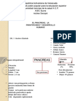 Factores de Crecimiento