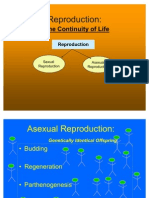 ASexual Reproduction Lesson