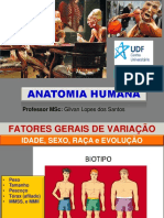 Slides de Anatomia - 11 Mar 21
