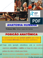 Anatomia Humana: Posição Anatômica, Divisão do Corpo e Movimentos