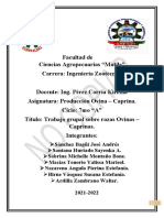 Caracterizacion Particular en Ciertas Razas de Especie Ovinos y Caprinos en El Ecuador Trabajo Grupal 7mo A P.O&C.