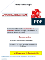 1.2-Sistema Cardiovasc