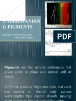 Understanding Pigments Powerpoint
