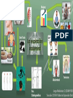 Respiración Abdominal