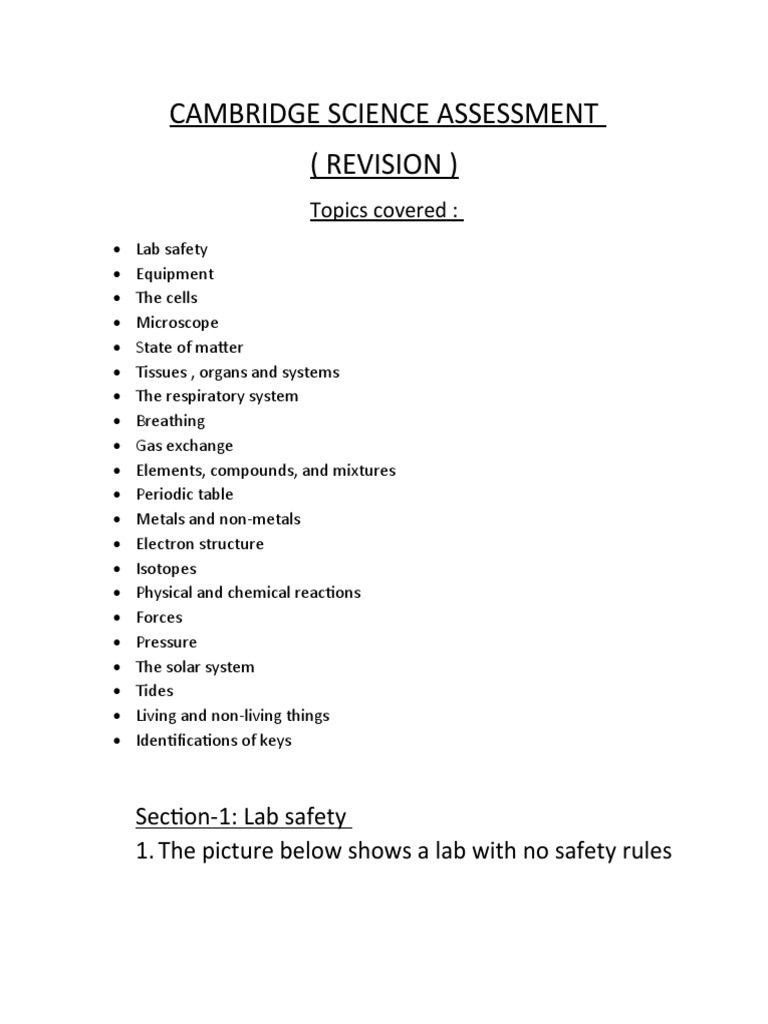Class 7 Respiratory System Worksheet | PDF | Oxygen | Respiratory System