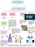 Mapa Conceptual - Leyes de La Termodinámica