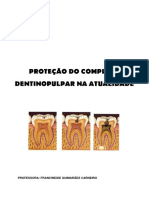 Conteúdo Teórico - PROTEÇÃO DO COMPLEXO DENTINO PULPAR
