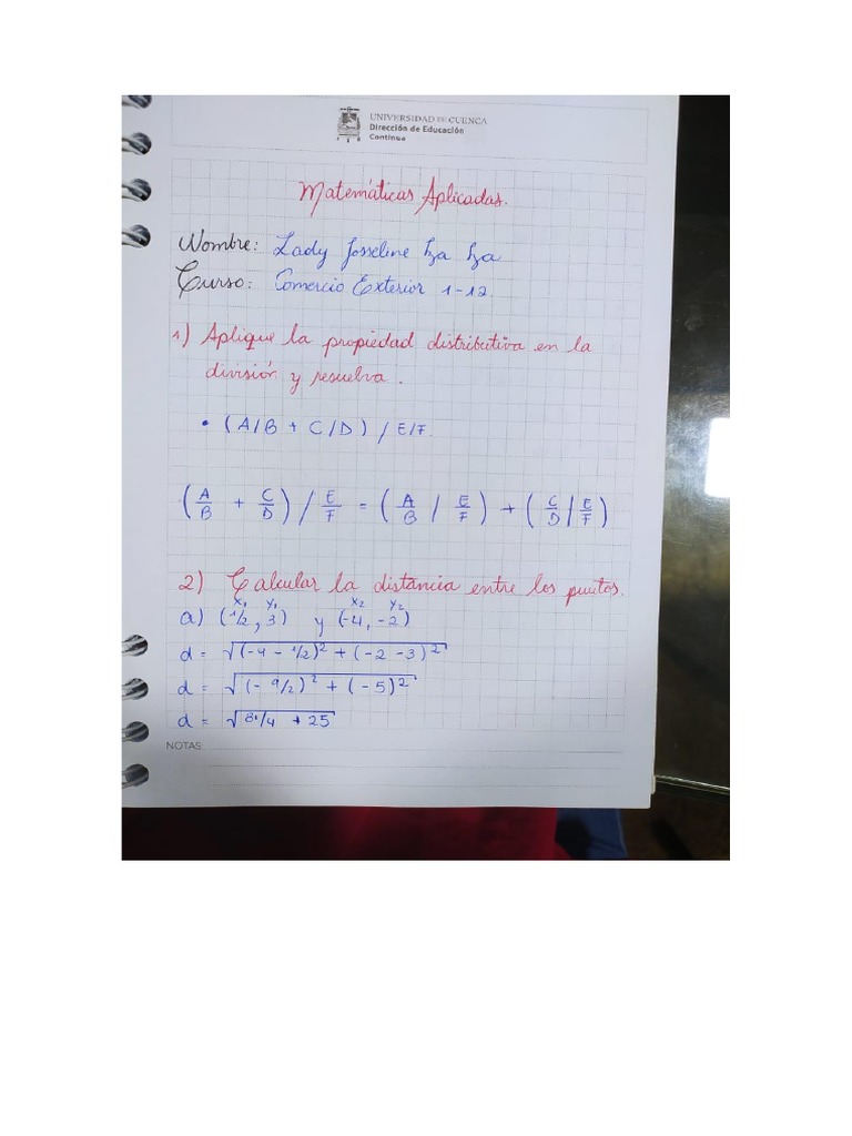 Leccion de Matematicas | PDF